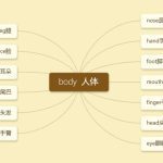 英语人类身体部位思维导图